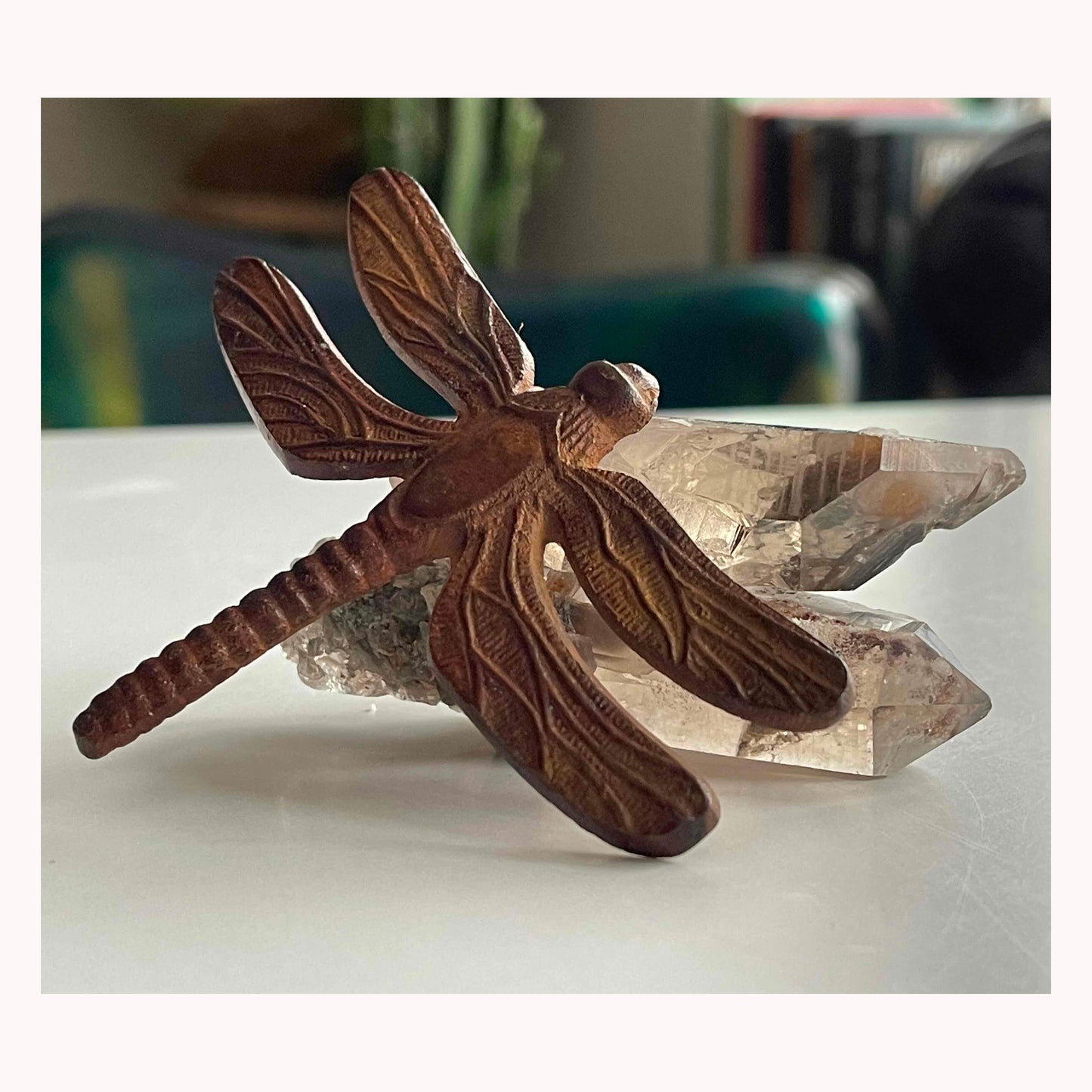 Dragonfly