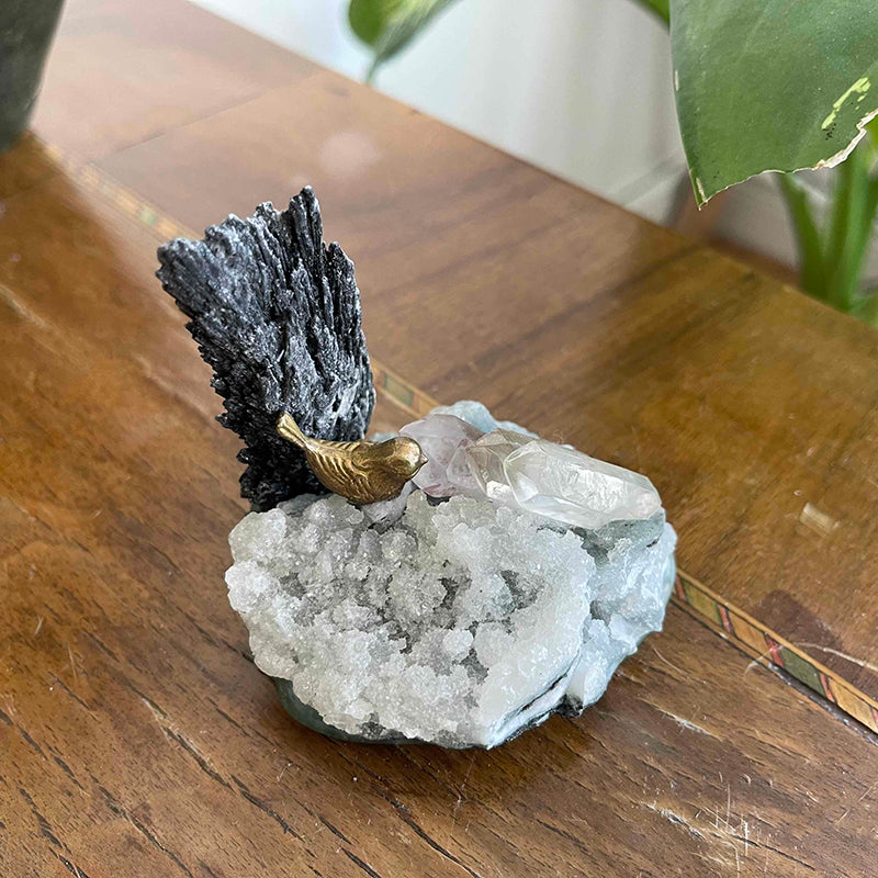Bird nest