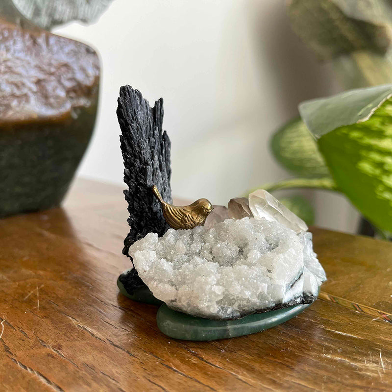 Bird nest