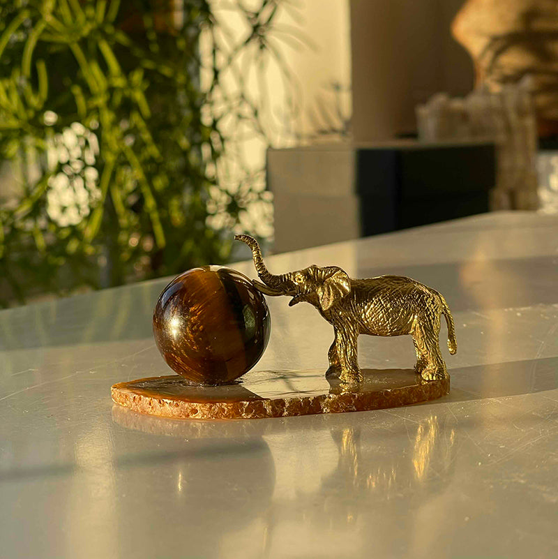İyi Şanst&Cesaret