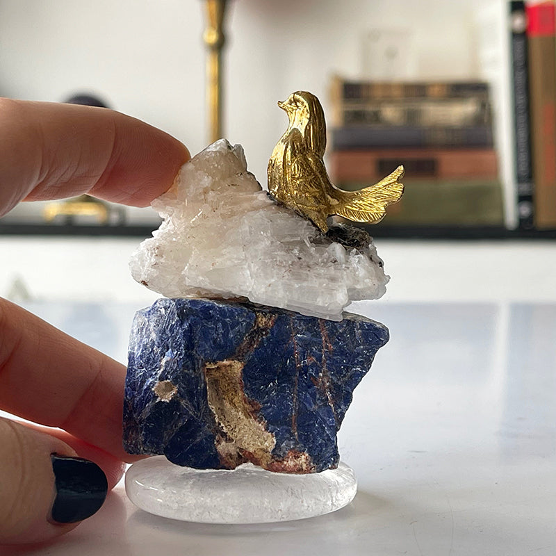 Inspiration bird
