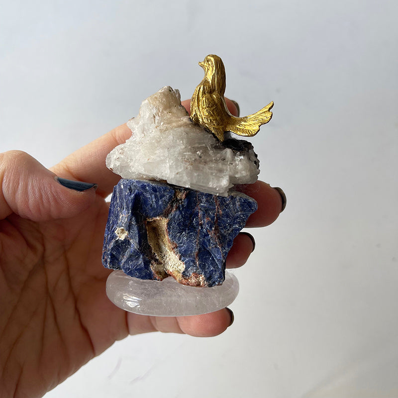 Inspiration bird