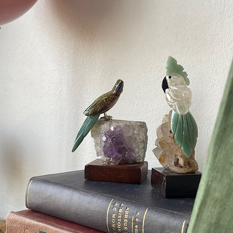 Guide Bird