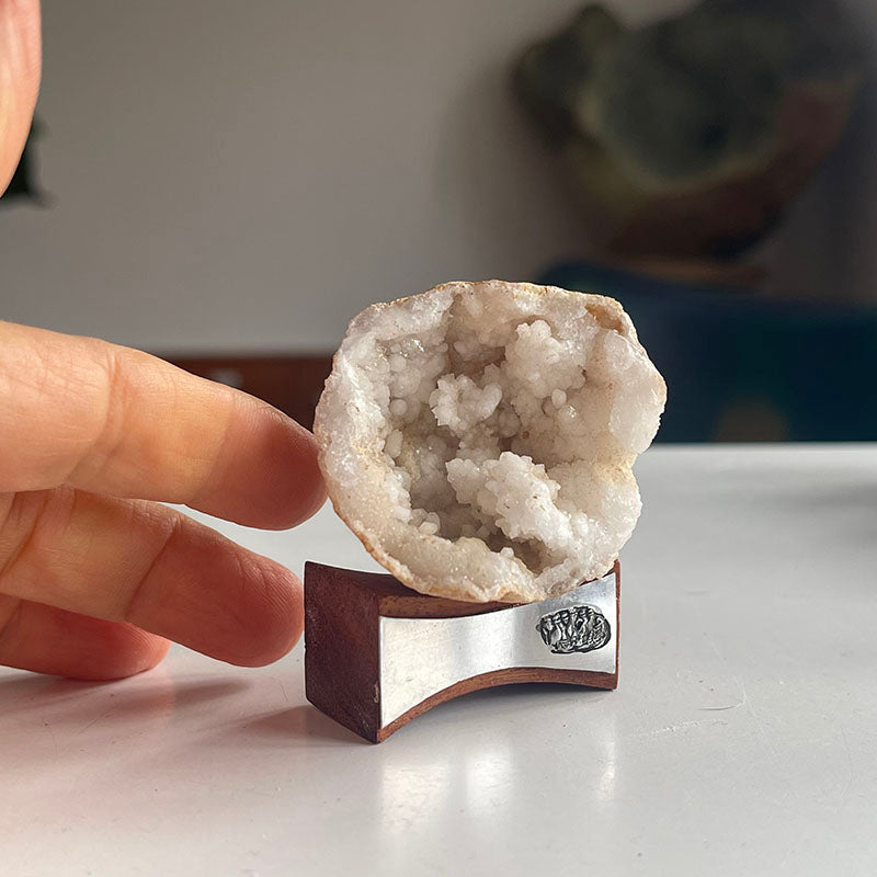 Dört Parçalık Mini Koleksiyon