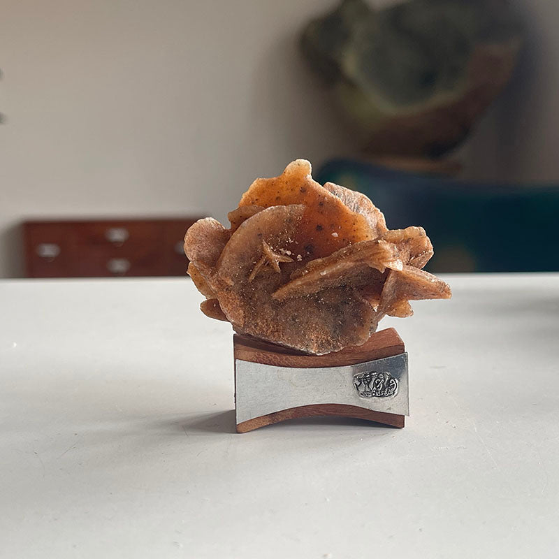 Dört Parçalık Mini Koleksiyon
