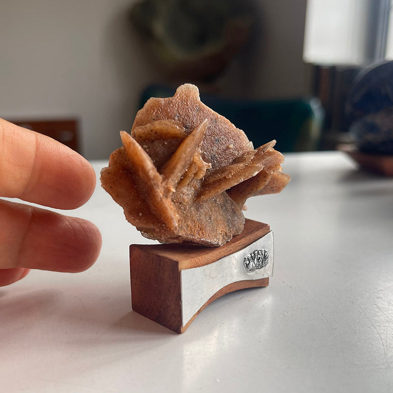 Dört Parçalık Mini Koleksiyon