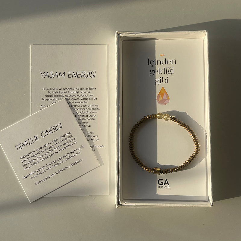 Life Energy Campaign 