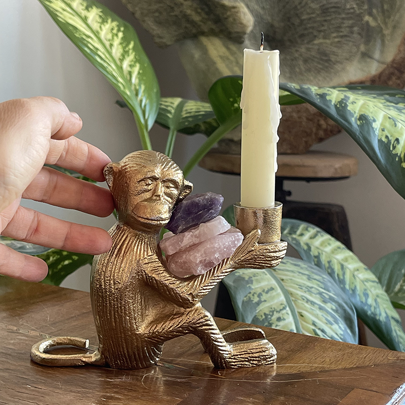 Love and Peace Monkey