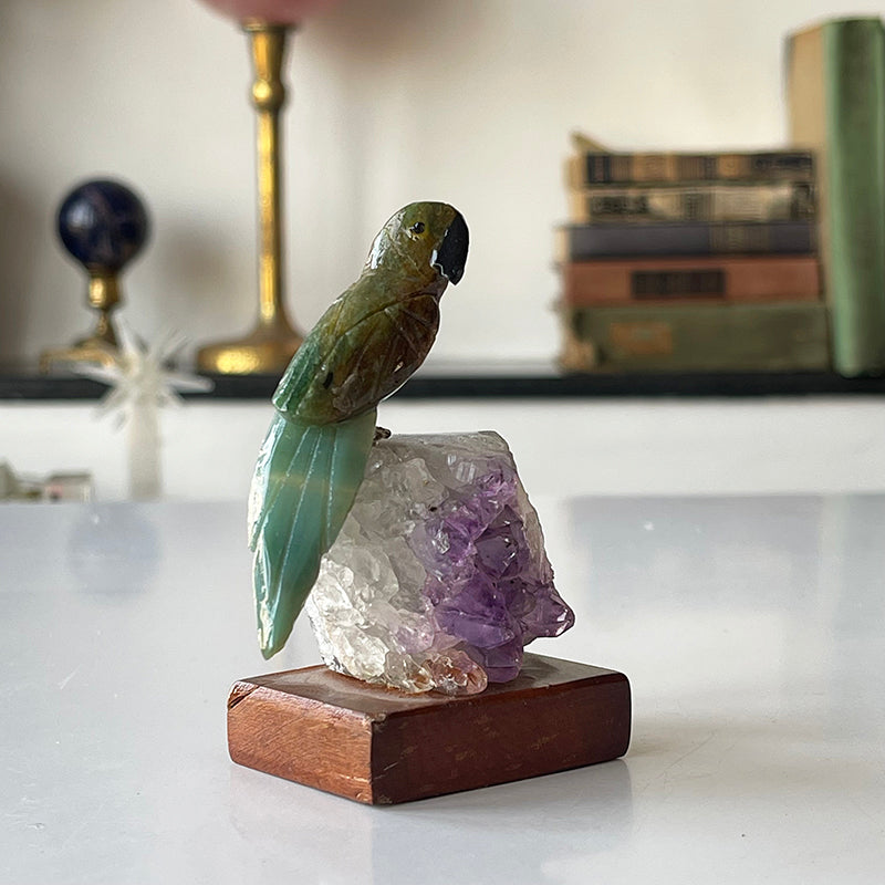 Guide Bird