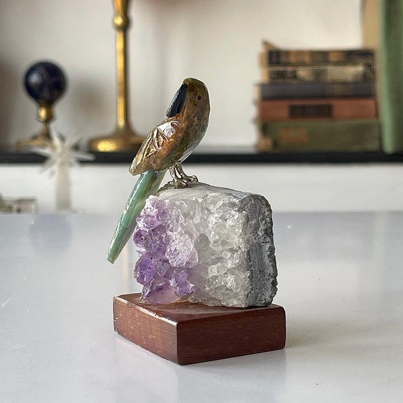Guide Bird