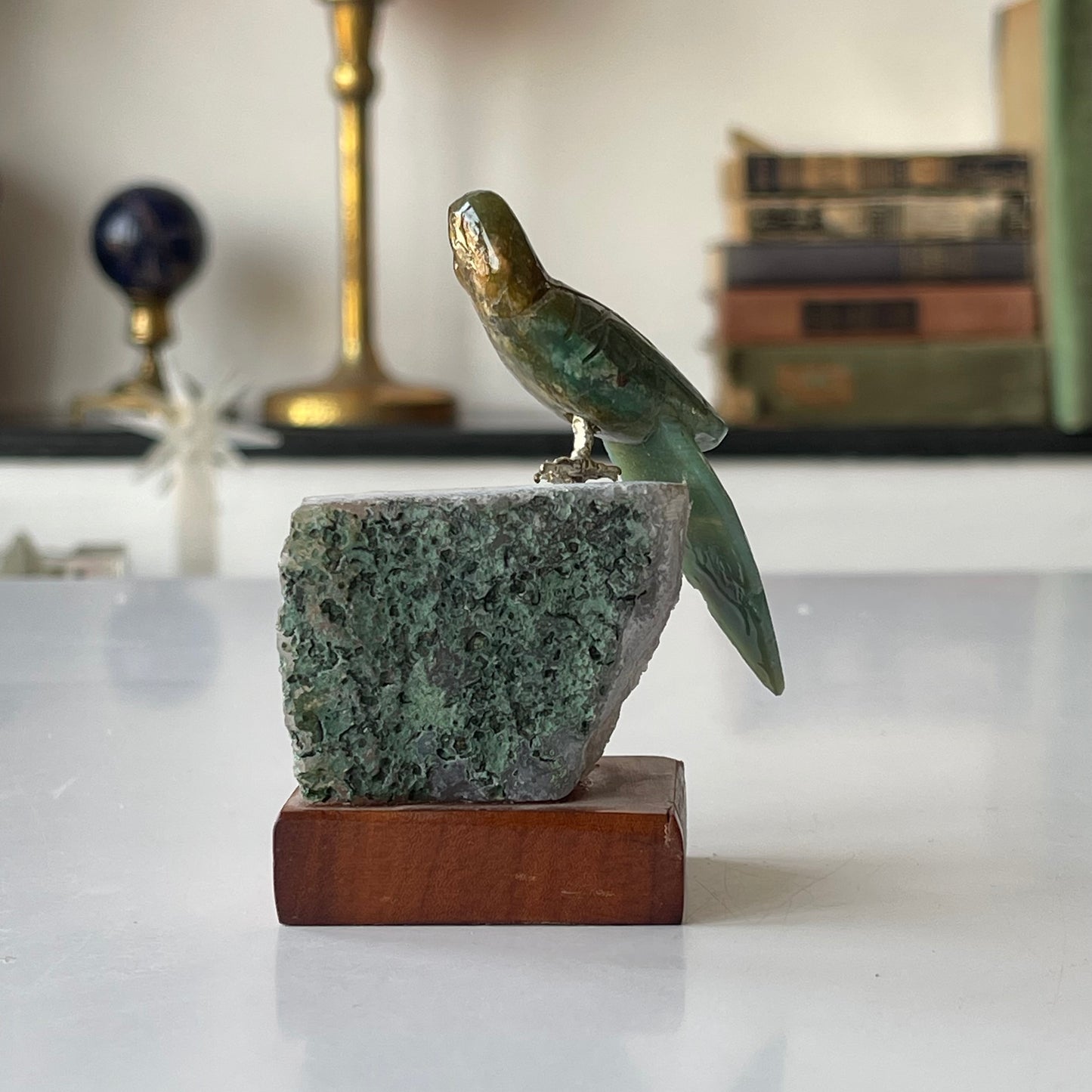 Guide Bird