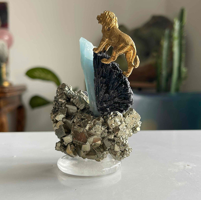 Go on, my lion. 