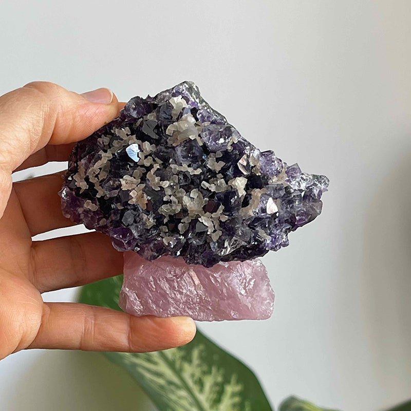 Amethyst &amp; Rose Quartz